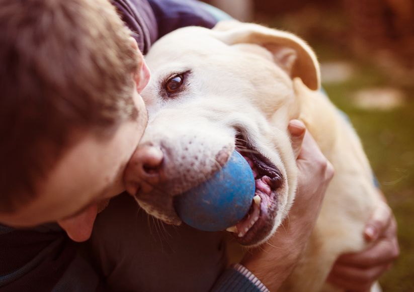 Ways to show your dog you love him