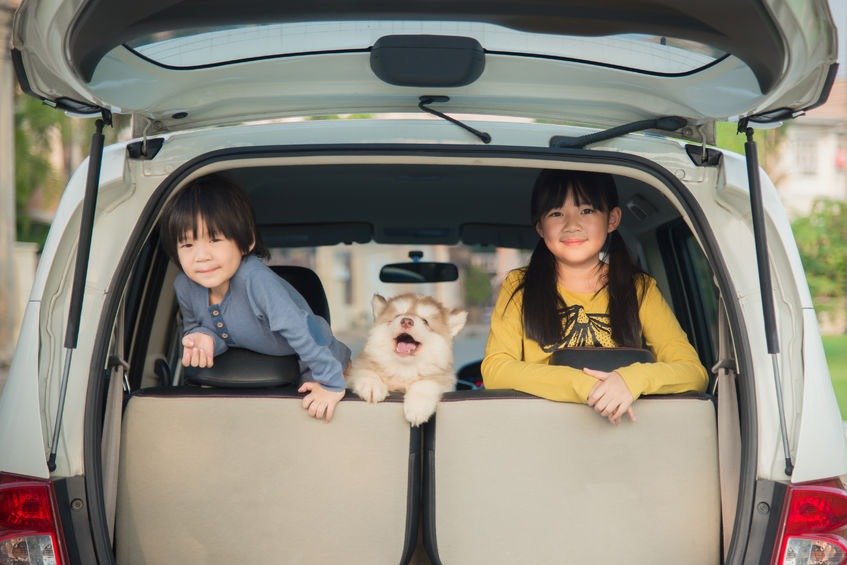 happy children and siberian husky puppy sitting in the car