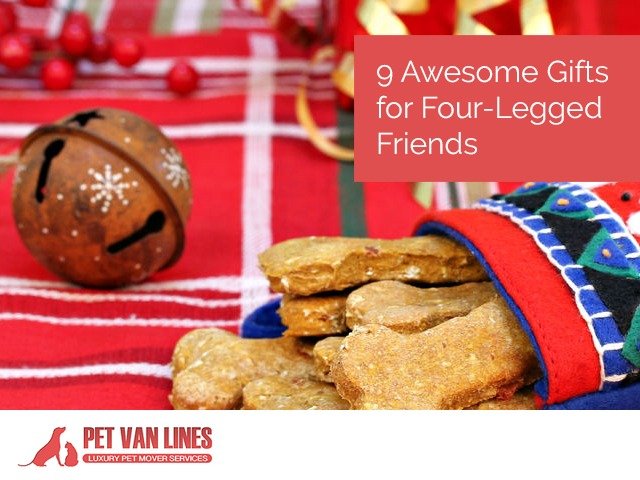 awesome gifts for pets