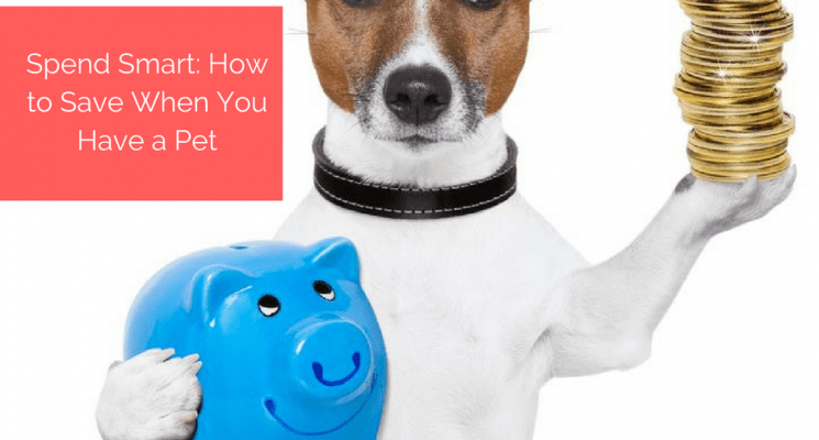 spend-smart-how-to-save-when-you-have-a-pet-1