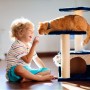 8 DIY Cat Toys You Can Make Today