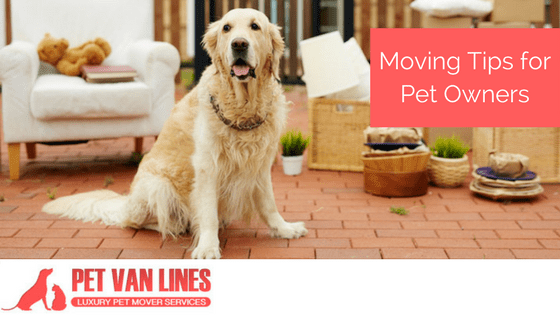 moving tips for pet owners