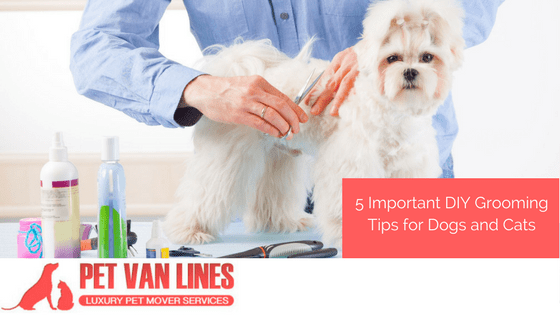 Pet Relocation Services | Pet Van Lines | DIY Pet Grooming