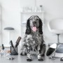 5 Important DIY Grooming Tips for Dogs and Cats