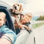 Ways To Keep Your Pet Entertained on a Long Car Trip