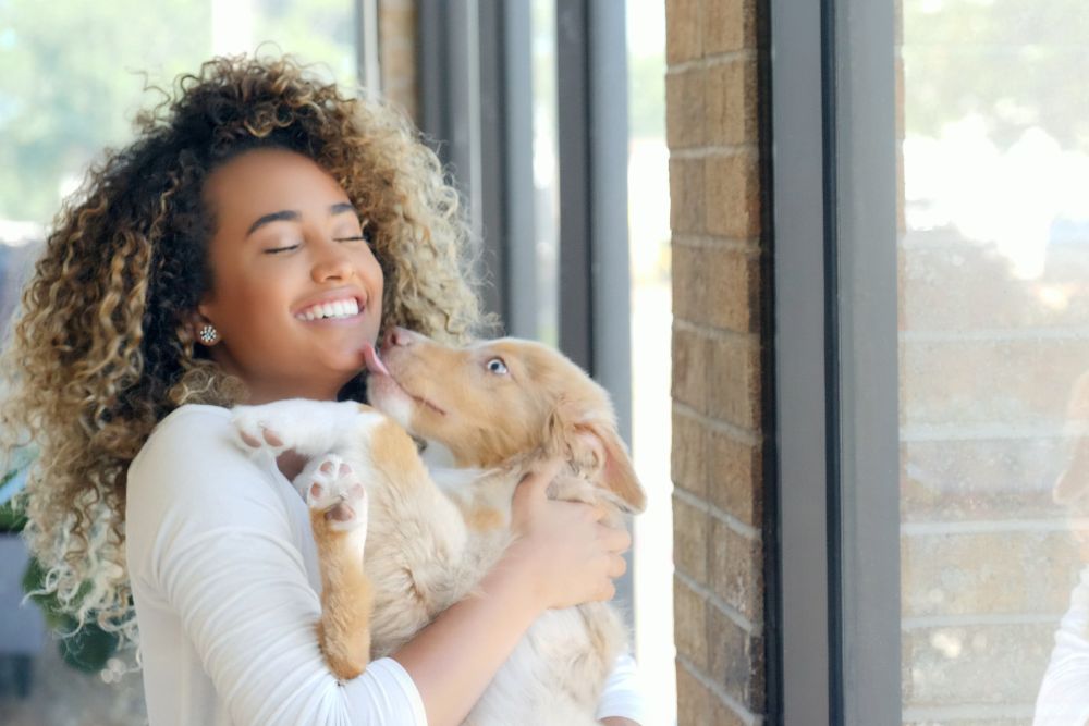 Getting a puppy? Puppy-proof your home with these pro tips