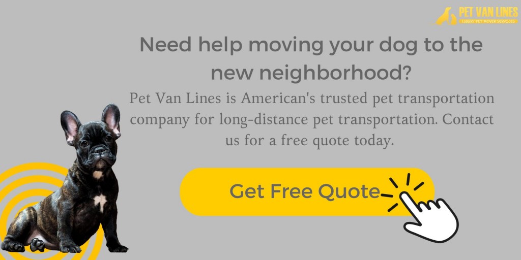 moving your pet to a new neighborhood 