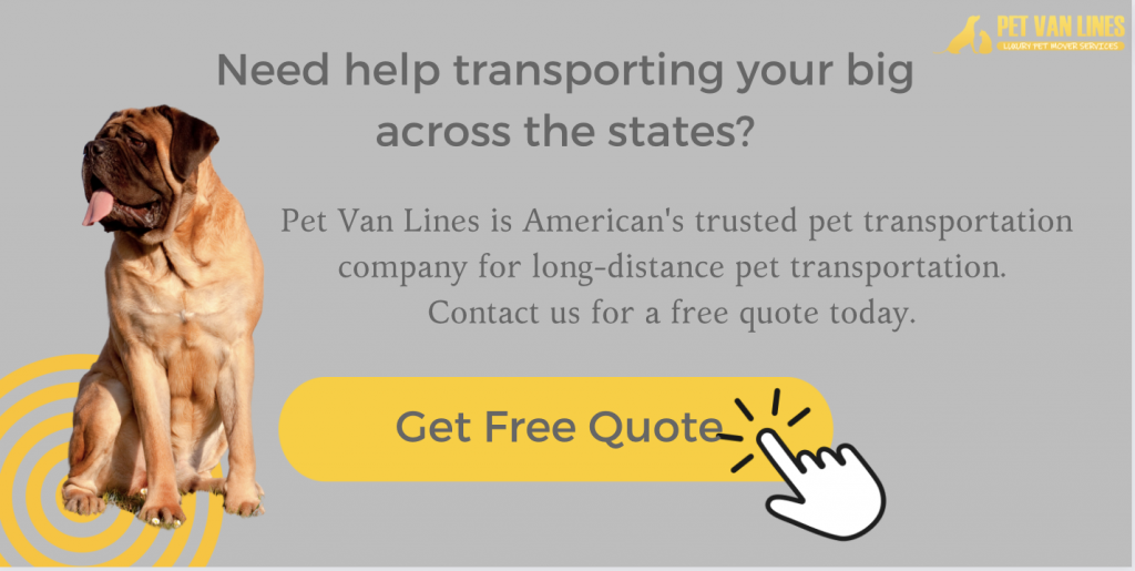 transportation company for large dogs