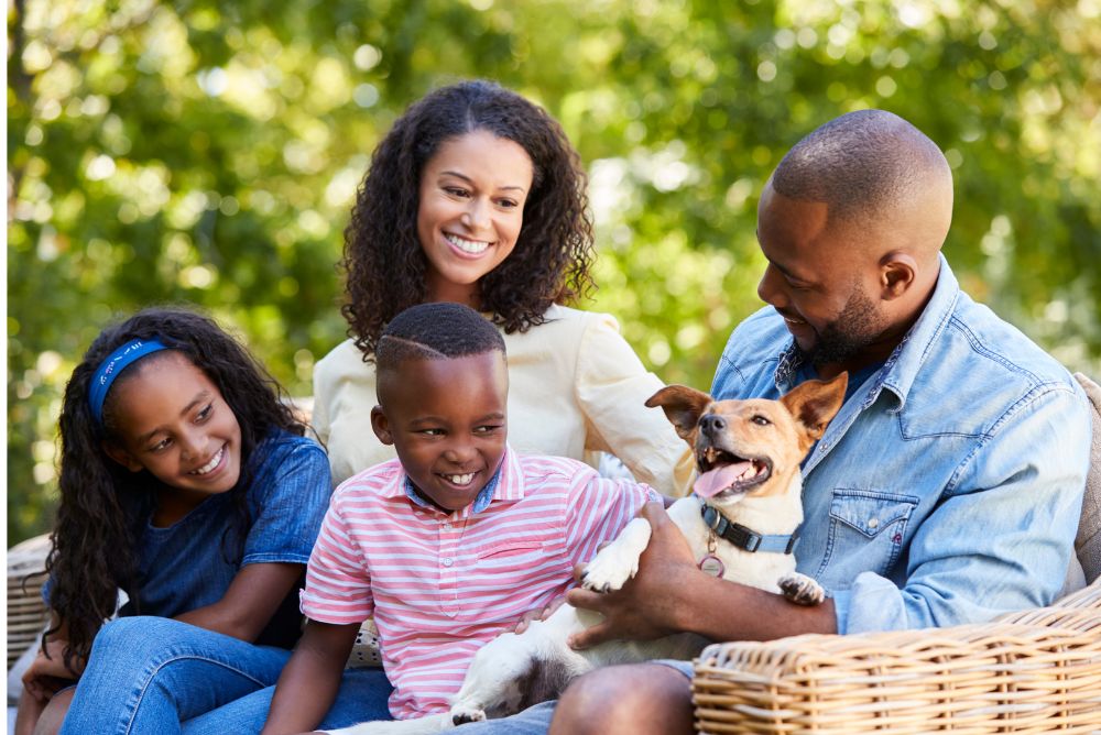 Protect Your Dog from Parasites this Summer